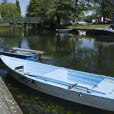 Lake View Элк
